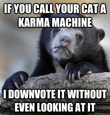 If you call your cat a karma machine I downvote it without even looking at it  Confession Bear