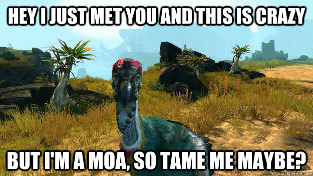 Hey I just met you and this is crazy but I'm a moa, so tame me maybe?  Guild Wars 2