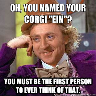 Oh, you named your corgi 