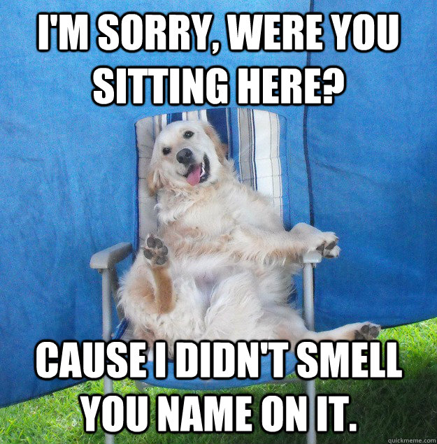 I'm sorry, were you sitting here? Cause I didn't smell you name on it.  Dog Stolen Chair
