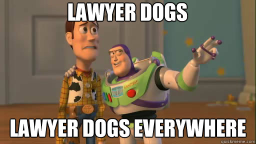 Lawyer dogs lawyer dogs everywhere  Everywhere