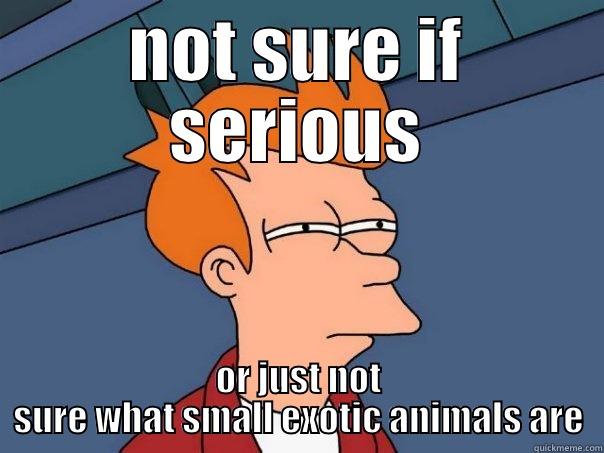 NOT SURE IF SERIOUS OR JUST NOT SURE WHAT SMALL EXOTIC ANIMALS ARE Futurama Fry