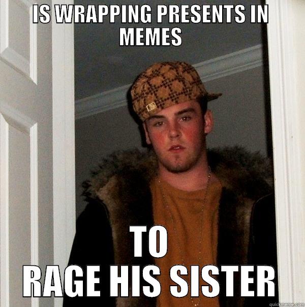 Present Troll - IS WRAPPING PRESENTS IN MEMES TO RAGE HIS SISTER Scumbag Steve