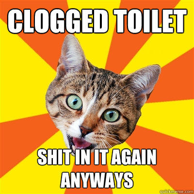 clogged toilet shit in it again anyways - clogged toilet shit in it again anyways  Bad Advice Cat