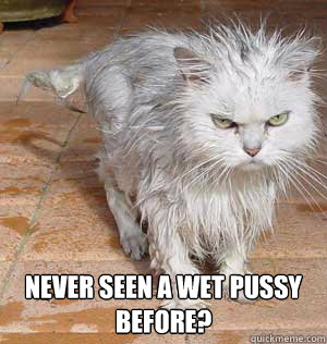  Never seen a wet pussy before? -  Never seen a wet pussy before?  Misc