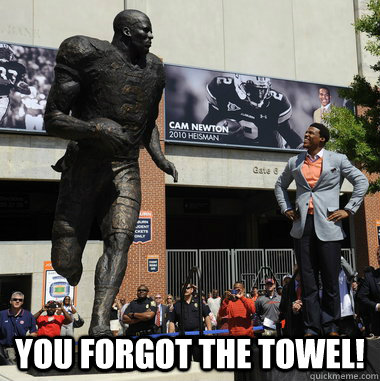  you forgot the towel!  Cam Newton Statue Meme