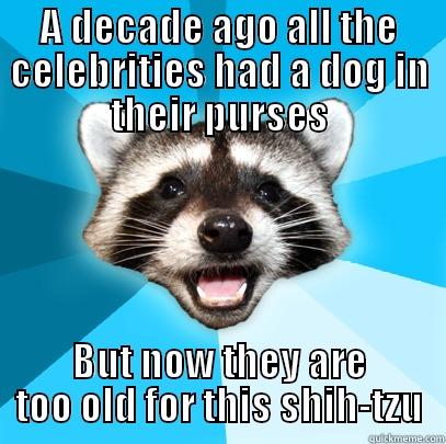 A DECADE AGO ALL THE CELEBRITIES HAD A DOG IN THEIR PURSES BUT NOW THEY ARE TOO OLD FOR THIS SHIH-TZU Lame Pun Coon