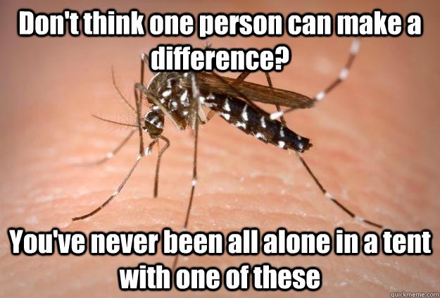 Don't think one person can make a difference? You've never been all alone in a tent with one of these - Don't think one person can make a difference? You've never been all alone in a tent with one of these  Master Troll Mosquito