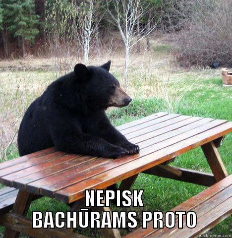 Bear is good -  NEPISK BACHŪRAMS PROTO waiting bear