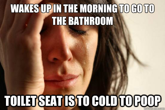 Wakes up in the morning to go to the bathroom Toilet seat is to cold to poop  First World Problems