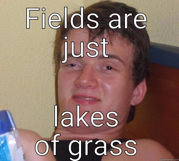Lakes of grass - FIELDS ARE JUST LAKES OF GRASS 10 Guy