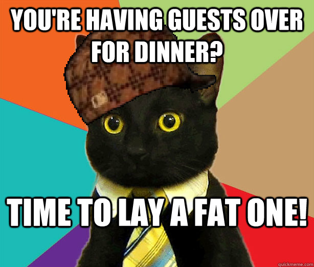 You're having guests over for dinner? Time to lay a fat one!  Scumbag Cat