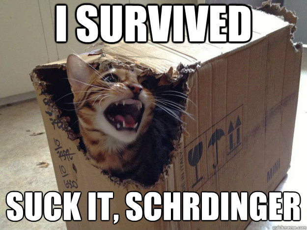 I survived suck it, Schrödinger - I survived suck it, Schrödinger  schrodinger cat