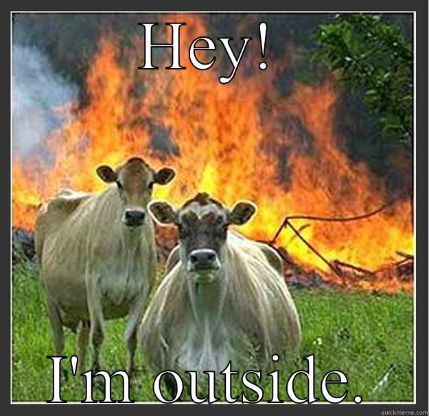 I'm outside text - HEY! I'M OUTSIDE. Evil cows