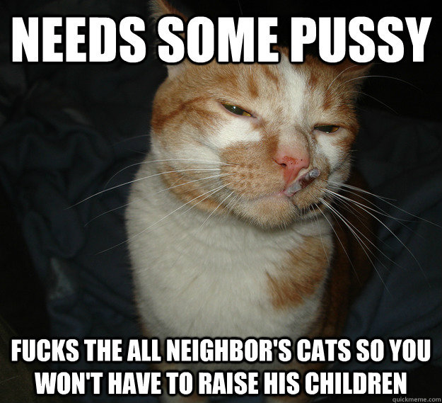 needs some pussy fucks the all neighbor's cats so you won't have to raise his children  Cool Cat Craig