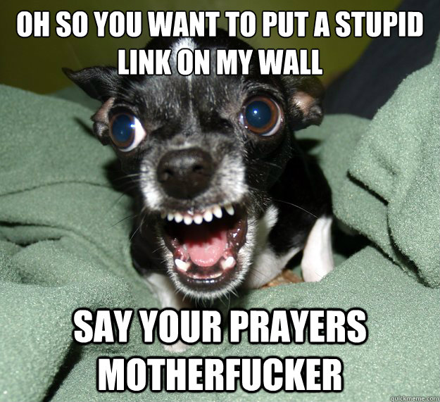 Oh so you want to put a stupid link on my wall say your prayers motherfucker  Chihuahua Logic