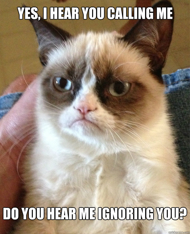 yes, i hear you calling me do you hear me ignoring you? - yes, i hear you calling me do you hear me ignoring you?  Misc