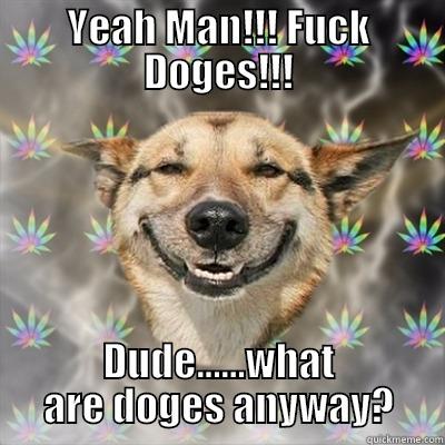 YEAH MAN!!! FUCK DOGES!!! DUDE......WHAT ARE DOGES ANYWAY? Stoner Dog