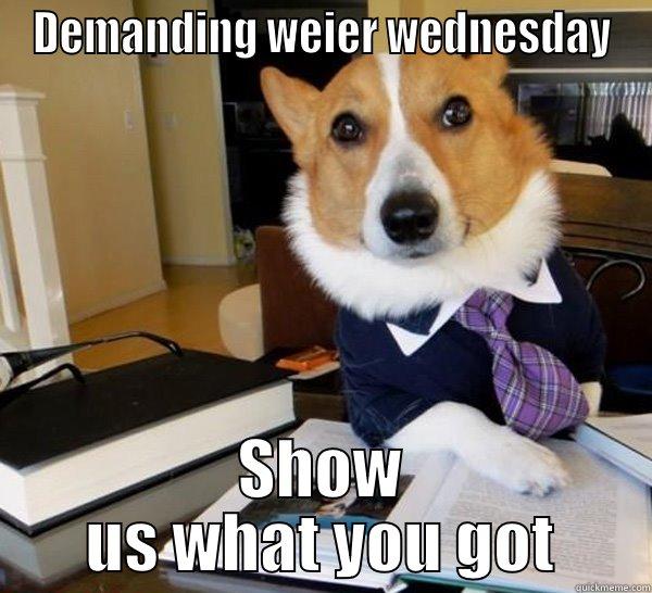 DEMANDING WEIER WEDNESDAY SHOW US WHAT YOU GOT Lawyer Dog