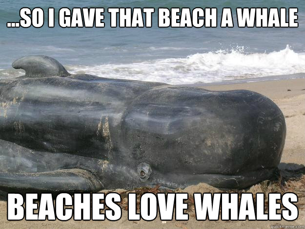 ...so i gave that beach a whale beaches love whales  Beaches Love Whales