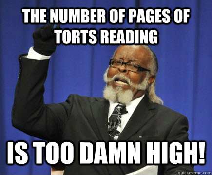 The number of pages of torts reading is too damn high!  Too Damn High