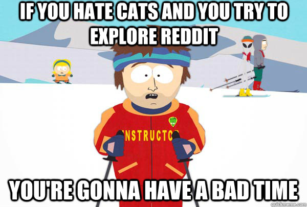 If you hate cats and you try to explore Reddit You're gonna have a bad time  Super Cool Ski Instructor