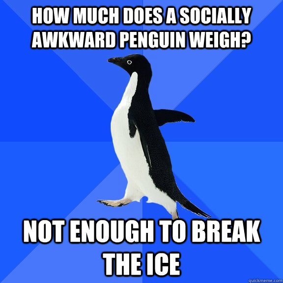 how much does a socially awkward penguin weigh? not enough to break the ice  Socially Awkward Penguin