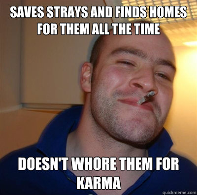 Saves strays and finds homes for them all the time Doesn't whore them for Karma  BF3 Good guy Greg