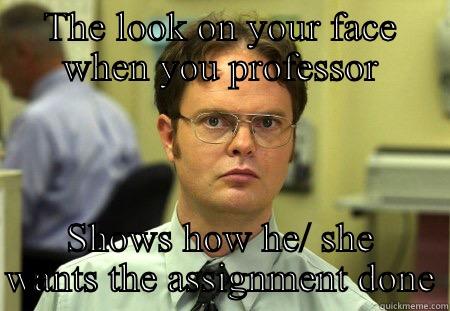 THE LOOK ON YOUR FACE WHEN YOU PROFESSOR SHOWS HOW HE/ SHE WANTS THE ASSIGNMENT DONE Dwight
