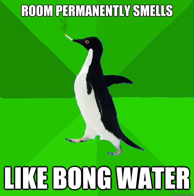room permanently smells like bong water   Stoner Penguin