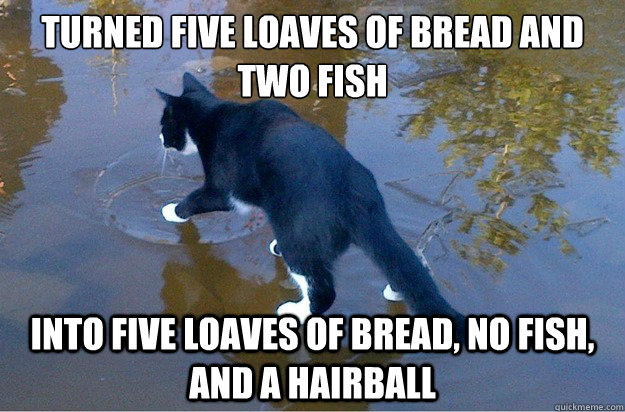 Turned five loaves of bread and two fish Into five loaves of bread, no fish, and a hairball - Turned five loaves of bread and two fish Into five loaves of bread, no fish, and a hairball  Jesus Cat