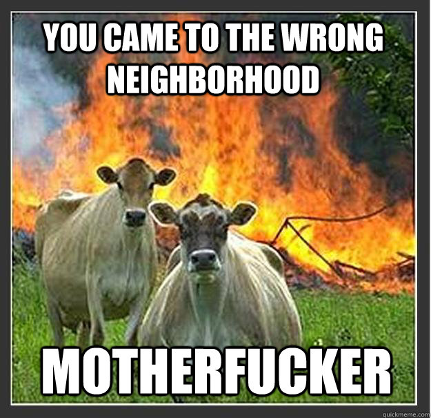 You came to the wrong neighborhood motherfucker  Evil cows