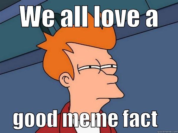     WE ALL LOVE A         GOOD MEME FACT        Futurama Fry