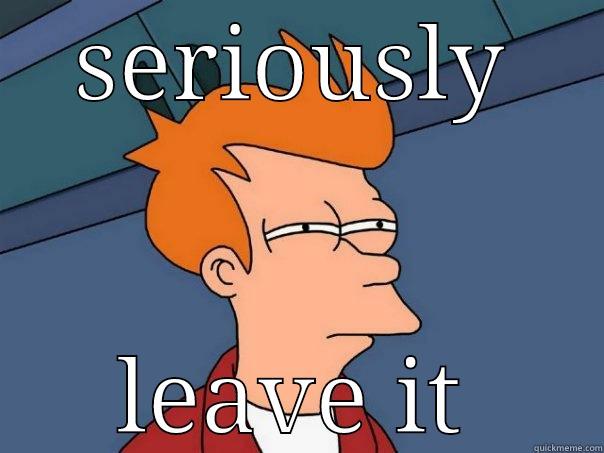 SERIOUSLY LEAVE IT Futurama Fry