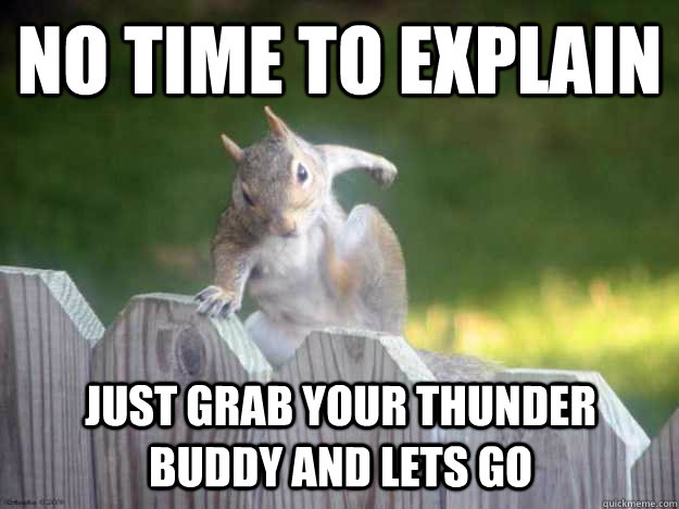 no time to explain just grab your Thunder Buddy and lets go - no time to explain just grab your Thunder Buddy and lets go  Parkour Squirrel