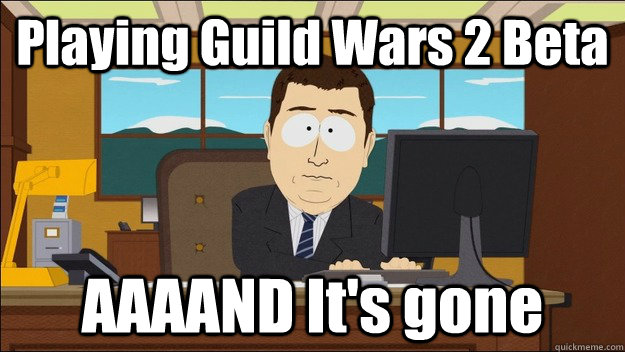 Playing Guild Wars 2 Beta AAAAND It's gone  aaaand its gone