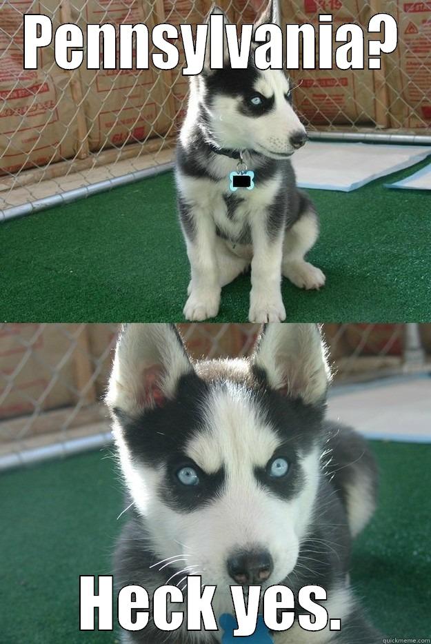 PENNSYLVANIA? HECK YES. Insanity puppy