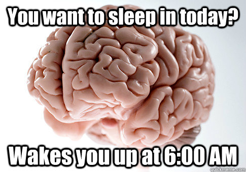 You want to sleep in today?  Wakes you up at 6:00 AM   Scumbag Brain