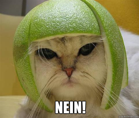 NEIN!  Angry Cat