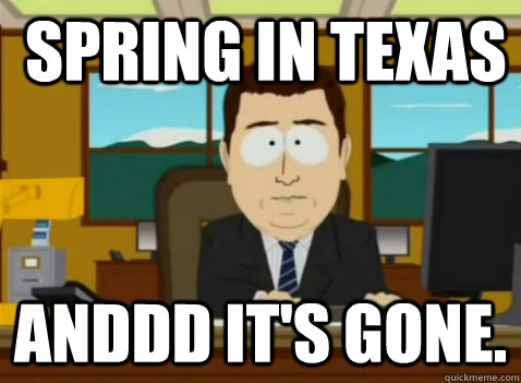 Spring in Texas anddd it's gone.  South Park Banker