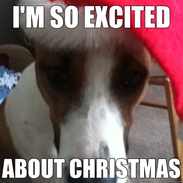 I'M SO EXCITED ABOUT CHRISTMAS  