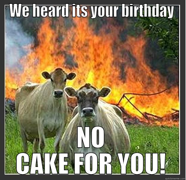 birthday denied - WE HEARD ITS YOUR BIRTHDAY NO CAKE FOR YOU! Evil cows