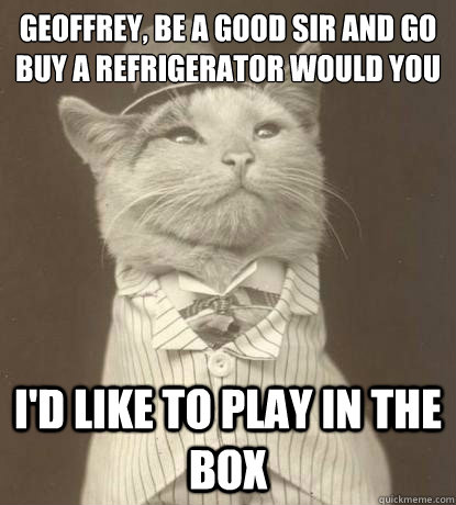Geoffrey, be a good sir and go buy a refrigerator would you I'd like to play in the box  Aristocat