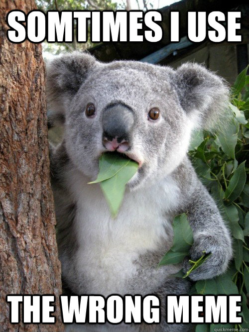 Somtimes I use The Wrong meme  koala bear