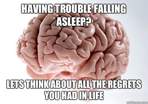 Having trouble falling asleep? Lets think about all the regrets you had in life  Scumbag Brain