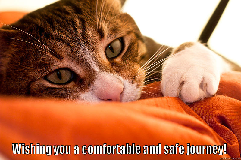  WISHING YOU A COMFORTABLE AND SAFE JOURNEY! Misc