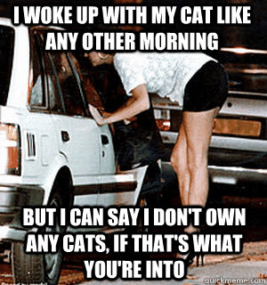 I woke up with my cat like any other morning But I can say I don't own any cats, if that's what you're into  Karma Whore