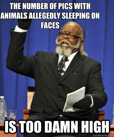 The number of pics with animals allegedly sleeping on faces is too damn high  The Rent Is Too Damn High