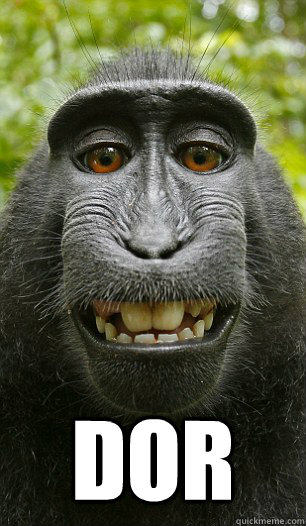  dor  Mindful Macaque