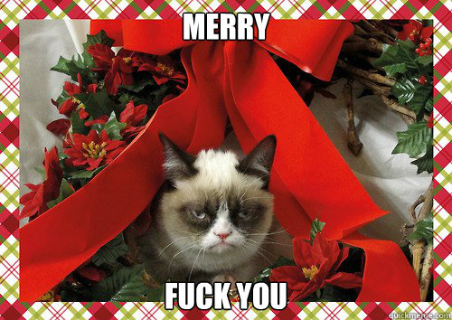 Merry Fuck you - Merry Fuck you  A Grumpy Cat Christmas